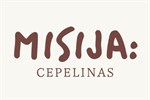 Misija cepelinas