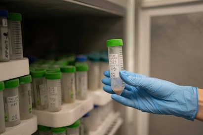 Išsamus alergijos tyrimas „AllergyCHIP“ šeimai
