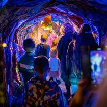 Vaiko gimtadienio šventė Meškinų muziejuje