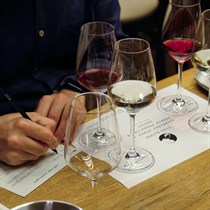 Vyno klubo degustacija Klaipėdoje