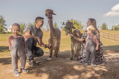 Edukacija Jonavos alpakų ūkyje šeimai