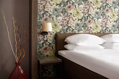 1 nakvynės poilsis Druskininkuose su vakariene