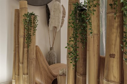 Endosferų terapija Kaune