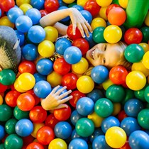 Visos dienos pramogos Palangos vasaros parke