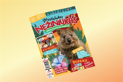 Žurnalo „Skruzdėliukas Nežiniukas“ prenumerata