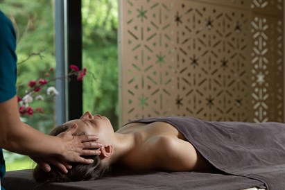 SPA malonumai „Mercure Palanga Vanagupe Resort“