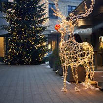Savarankiška ekskursija ATRASK KALĖDINĮ VILNIŲ