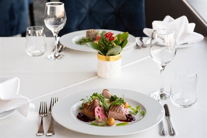 1 nakvynė „Vilnius Park Plaza“ su vakariene