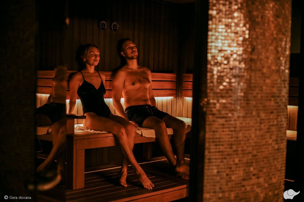 1 n. SPA VILNIUS Druskininkuose + vakarienė