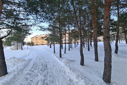 Sveikatinimo programa „Energetike“ ŽIEMA IV