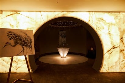 1 nakvynė SPA VILNIUS DRUSKININKAI d. d.