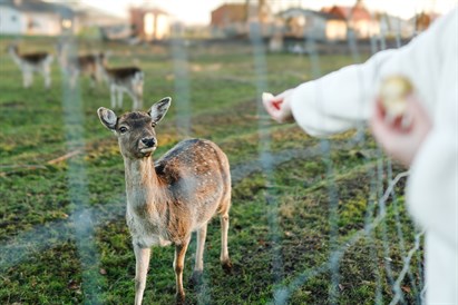 2 nakvynės Sodeliškių dvare su SPA ir vakariene