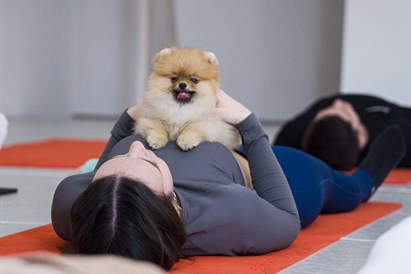 „Woof Yoga“ dovanų čekis
