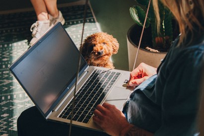 Darbostogos TECH SPA Druskininkuose d. d.