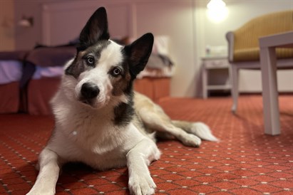 Poilsis su SPA, masažu ir maitinimu d. d.