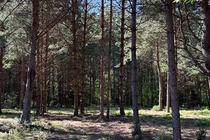 Pasivažinėjimas trasoje elektriniu motociklu