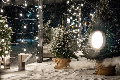 Restorano „Meat Steak House“ dovanų čekis