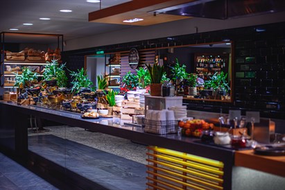 1 nakvynės poilsis Druskininkuose su vakariene