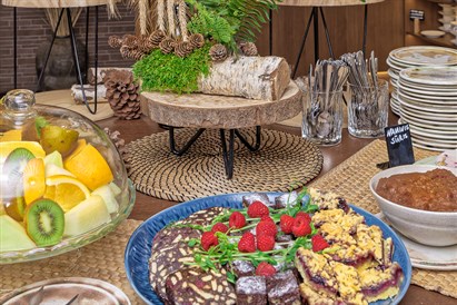 2 nakvynių poilsis SPA VILNIUS Anykščiuose