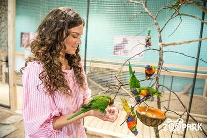 Apsilankykite ZOOPARK Vilniuje arba Kaune