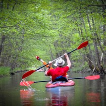 Plaukimas baidarėmis Kiaunos upe DVIEM