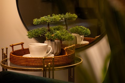 Procedūra „1000 ir viena naktis“