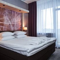 2 nakvynių harmoningas poilsis Druskininkuose