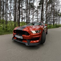 Pasivažinėjimas „Ford Mustang Cabrio“