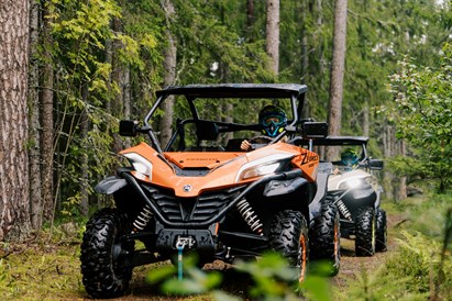 Pasivažinėjimas bagiais