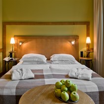 Nakvynė su vakariene ir SPA dviem d.d.