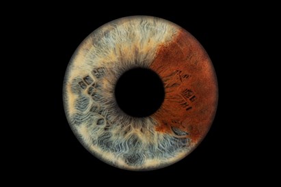 Studijos „Akių fotografija“ dovanų čekis