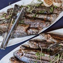 Įsimintina vakarienė restorane „TonyResort“