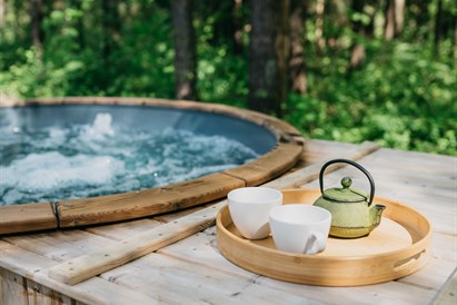 2 nakvynių poilsis Anykščiuose su SPA