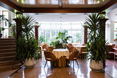 Individualaus gydimo programa Druskininkuose 