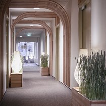 2 n. su masažu SPA VILNIUS DRUSKININKAI