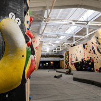 Išbandykite laipiojimo pramogas BONOBO