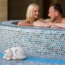 SPA poilsis „Mercure Palanga Vanagupe Resort“