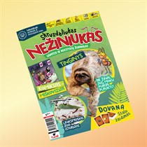 Žurnalo „Skruzdėliukas Nežiniukas“ prenumerata
