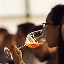 Kraftinio alaus degustacija Klaipėdoje