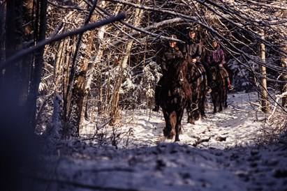 Pasirinkta pramoga Kalniaus sodyboje