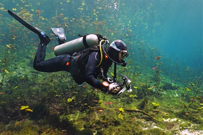 „Nardymo akademijos“ dovanų čekis
