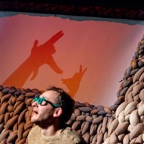 Apsilankymas rankų šešėlių teatre vaikams