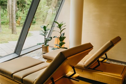 1 n. poilsis SPA VILNIUS Anykščiuose d. d.