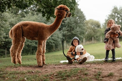 Edukacija Jonavos alpakų ūkyje šeimai