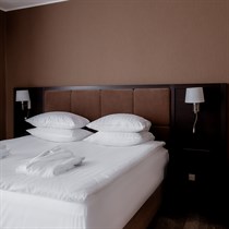 1 nakvynės poilsis Druskininkuose