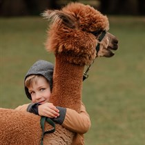 Edukacija Jonavos alpakų ūkyje šeimai