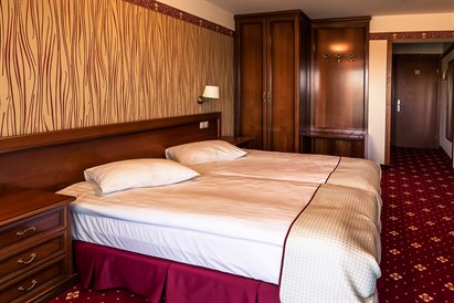 SPA AMBER PALACE: poilsio programa „Vasara IV“