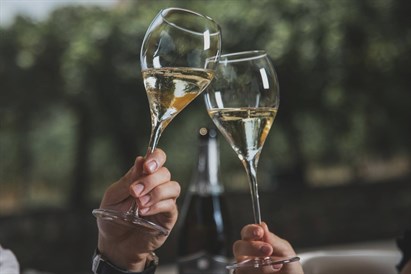 Šventinė šampano degustacija grupei