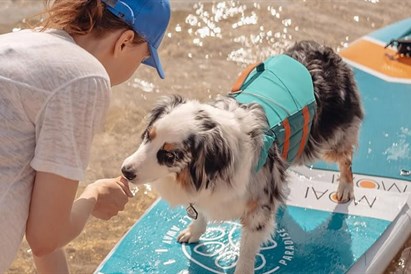„Surf Farm“ turas didele irklente grupei