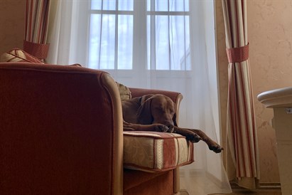 Poilsis Druskininkuose šeimai